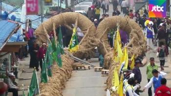 1만명 함께 '기지시 줄다리기'…500년의 공동체 문화