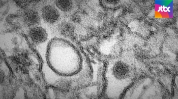 [단독] 용산 미군기지서 '지카 바이러스 실험' 추진