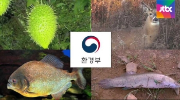 흰꼬리사슴·가짜지도거북 등 위해우려 45종 반입 금지