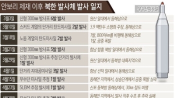 북한, 무수단 2발 발사…'절반의 성공' 평가