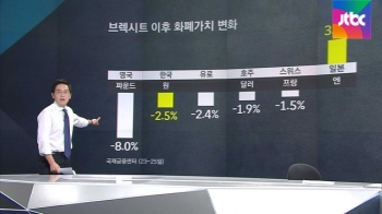 [팩트체크] 원화 ↓ 엔화 ↑…극과극 환율 충격, 왜?