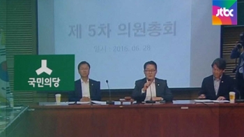 국민의당, 박선숙·김수민 등 기소시 당원권 정지키로