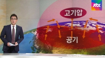 “올해가 가장 더운 해가 될 것“ 전세계 찜통더위, 왜?