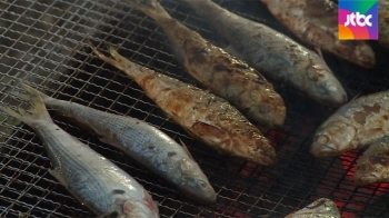 가을 전어 옛말? 한여름에도 풍어…지자체 경쟁 시동