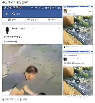 '물고기떼·까마귀떼 출현 등 왜곡'…부산시, 전파자 수사의뢰