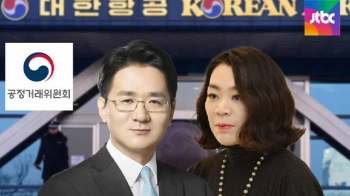 '일감 몰아주기 의혹' 조원태·조현아 검찰 고발 검토