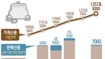 가계부채 1250조 넘었다…증가폭 상반기 기준 '역대 최대'