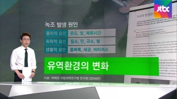 [팩트체크] 낙동강 녹조 생활폐수 탓?…확인해보니 