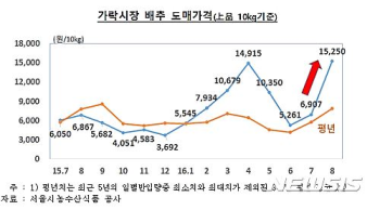 폭염에 배추값도 '금값'…한포기 8035원