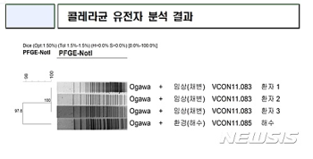 거제 콜레라균 해수 유입 '결론'...환자-대계항 유전형 97.8% 일치