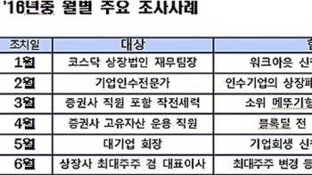 금감원 “주가변동폭 큰 종목 '작전'가능성 높아…투자시 유의해야“