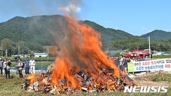 충북도 “토종벌 전염병 피해액 40억 원 추산“