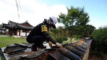 국세청, 특별재난지역 경주시 세무조사 연기·납기 연장