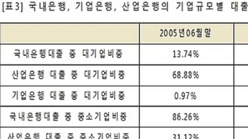 대기업 대출 35%, 국책은행이 몰아줬다…대기업 쏠림 심화