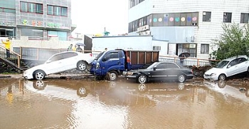 담벼락 무너지고, 2000가구 단전…울산 피해 속출