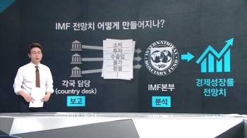 [팩트체크] 내년 3% 성장?…'IMF 통계' 검증해보니