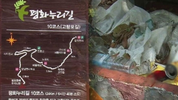 한국판 산티아고 순례길?…예산 새는 '걷기 좋은 길'