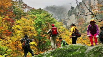 설악산 단풍에 이어지는 발길…남부는 내달 초 절정