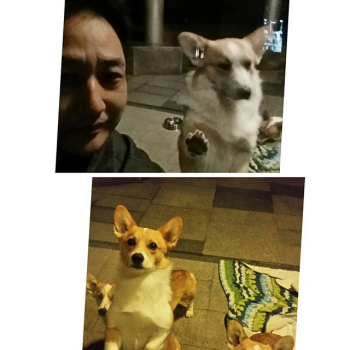 “개도둑 아님“ 김수용, 대중소와 만난 수드래곤