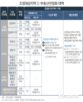 11.3 부동산대책, 강남4구·과천 '전매금지'…재당첨·1순위도 제한