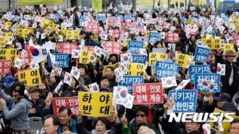 보수단체, '하야 반대' 집회…“중고생들 종북 물들어 촛불“