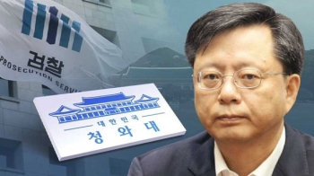 우병우, 국정개입 사건에 '적극 개입'…수사 대비 주도