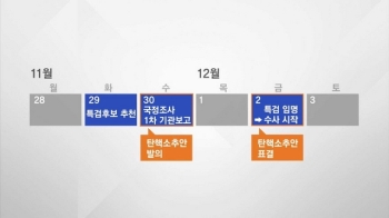 특검·탄핵·국정조사까지…대통령에겐 '가시밭길 1주일'