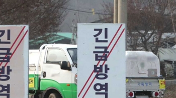 '오리 최대 사육지' 나주도 뚫렸다…AI 확산에 초비상