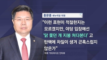 [비하인드 뉴스] “닭 쫓던 개“ 야당 골리는 '골수친박'