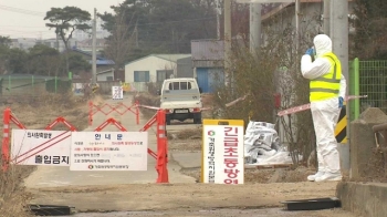 김포에서도 확진 농가 발생…AI 경보 '최고단계' 무색 