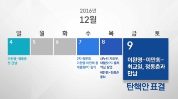 날짜별로 살펴보니…표결 전 '태블릿PC 흔들기' 집중