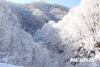 내일 전국 눈 내리고 쌀쌀…서울 낮에도 영하권