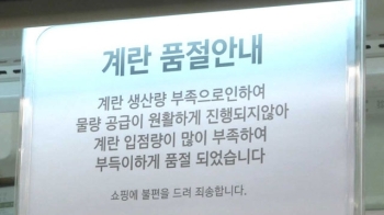 정부, 계란 수입안 논의 본격화…가격 안정은 미지수