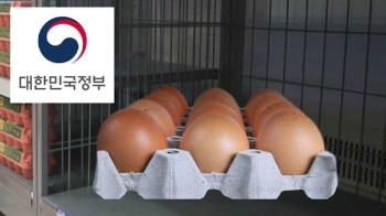 닭고기보다 비싸진 달걀 값…정부 수급 대책은 '깜깜'