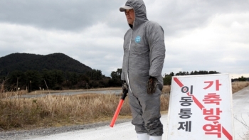 “제주, AI 발생 차단 자신“…지난해 경험 살려 전력대응