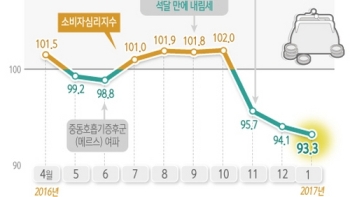 추락하는 국내 소비심리…금융위기 당시보다도 더 나빠져