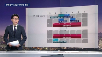 탄핵 접수 50일…연휴 후 사실상 심판 막바지, 전망은?