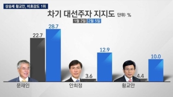 문재인 대세론 속 안희정·황교안 약진…관건은 '확장성'?