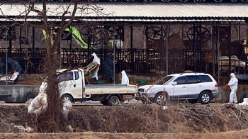 충남 보은, '구제역' 살처분에 매몰지 관리에도 '비상'