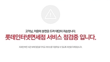 롯데면세점 홈피, 중국 디도스 공격으로 '3시간 마비'