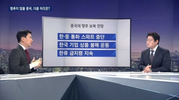 교묘하고 치밀한 중국의 사드 배치 보복…다음 표적은?