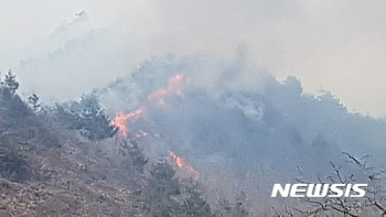 강릉 옥계서 큰 산불…10㏊ 피해, 1144명 투입 진화중