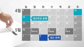 5월9일 조기대선 유력…갈 길 바쁜 정치권, 각 당 일정은