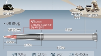 군, 사드 레이더 도착 즉시 가동…'대못박기' 본격화