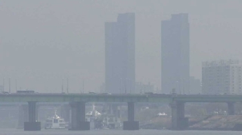 서울, 공기 질 최악 도시 상위권…정부 대책 실효성은?
