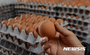 계란값 또 들썩…산지가 5562원·소매가 7509원