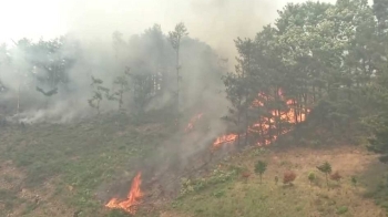 '산불 비상' 강원에 강풍특보…전국에 황사·미세먼지