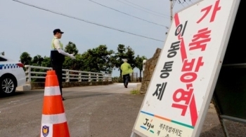 'AI 의심사례 발생' 제주도 가금류 1만2천마리 살처분 '비상'