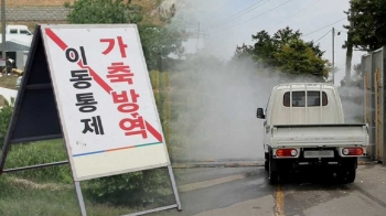 제주 오골계 '고병원성 AI' 확진…위기경보 '심각' 격상