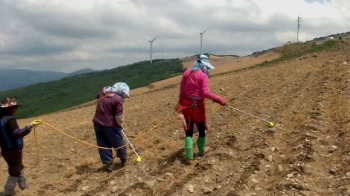 고랭지 배추밭도 주남저수지도…'바짝바짝 갈증' 확산